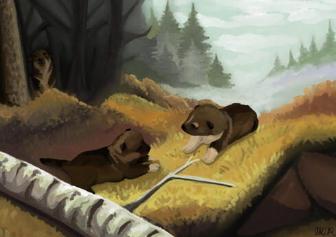 Taistelevat Göötit